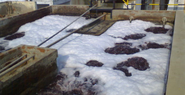 Etp sludge analysis report picture