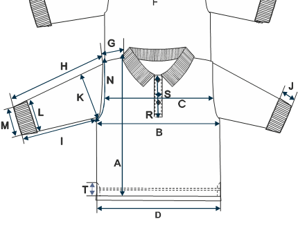 Shirt Size Chart for Developed Sample - Auto Garment