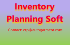 Inventory Planning and Management Strategies for Software